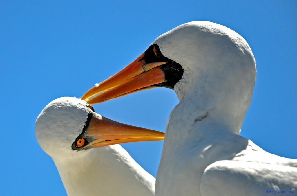 Bed and Breakfast Galapagos Eco Friendly Пуерто-Бакерісо-Морено Екстер'єр фото